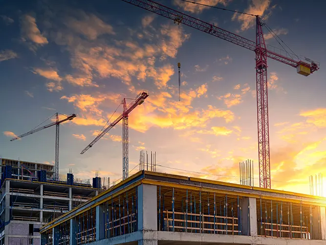 Building Trust with Over 20 Years of Experience